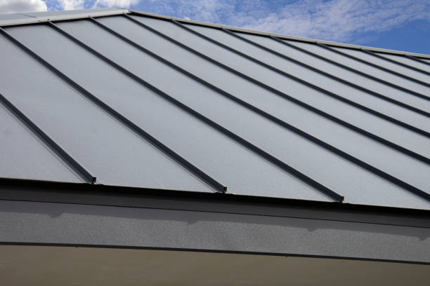 Best Asphalt Shingle Roofing  in Hartington, NE