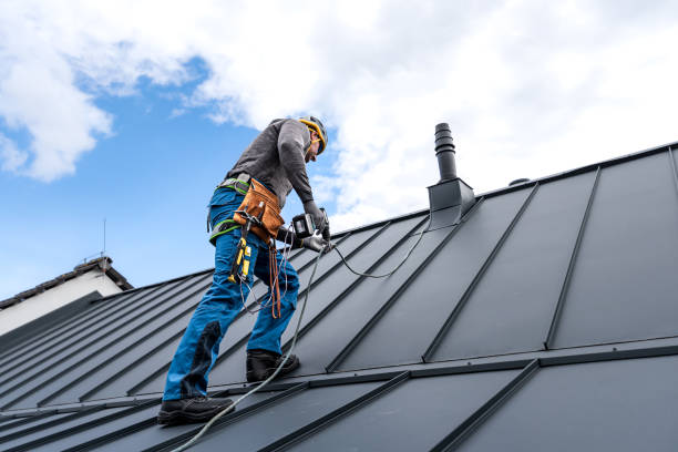 Best Commercial Roofing Services  in Hartington, NE