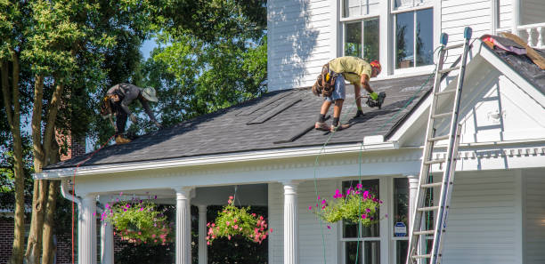 Best Emergency Roof Repair Services  in Hartington, NE